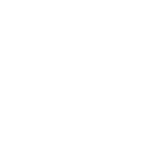 Bear united logo wit