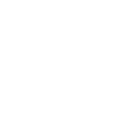 Bear united logo wit